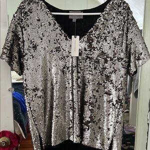 Anthropologie  Silver Sequin V-Neck Top